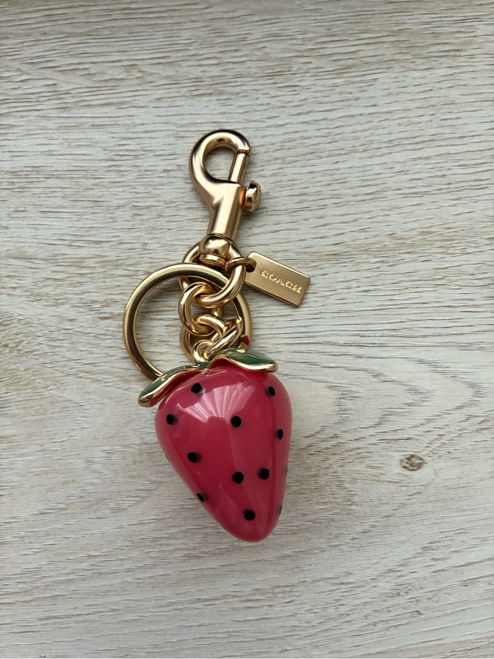 Coach X Observed By Us Strawberry Resin Gold Bag Charm
